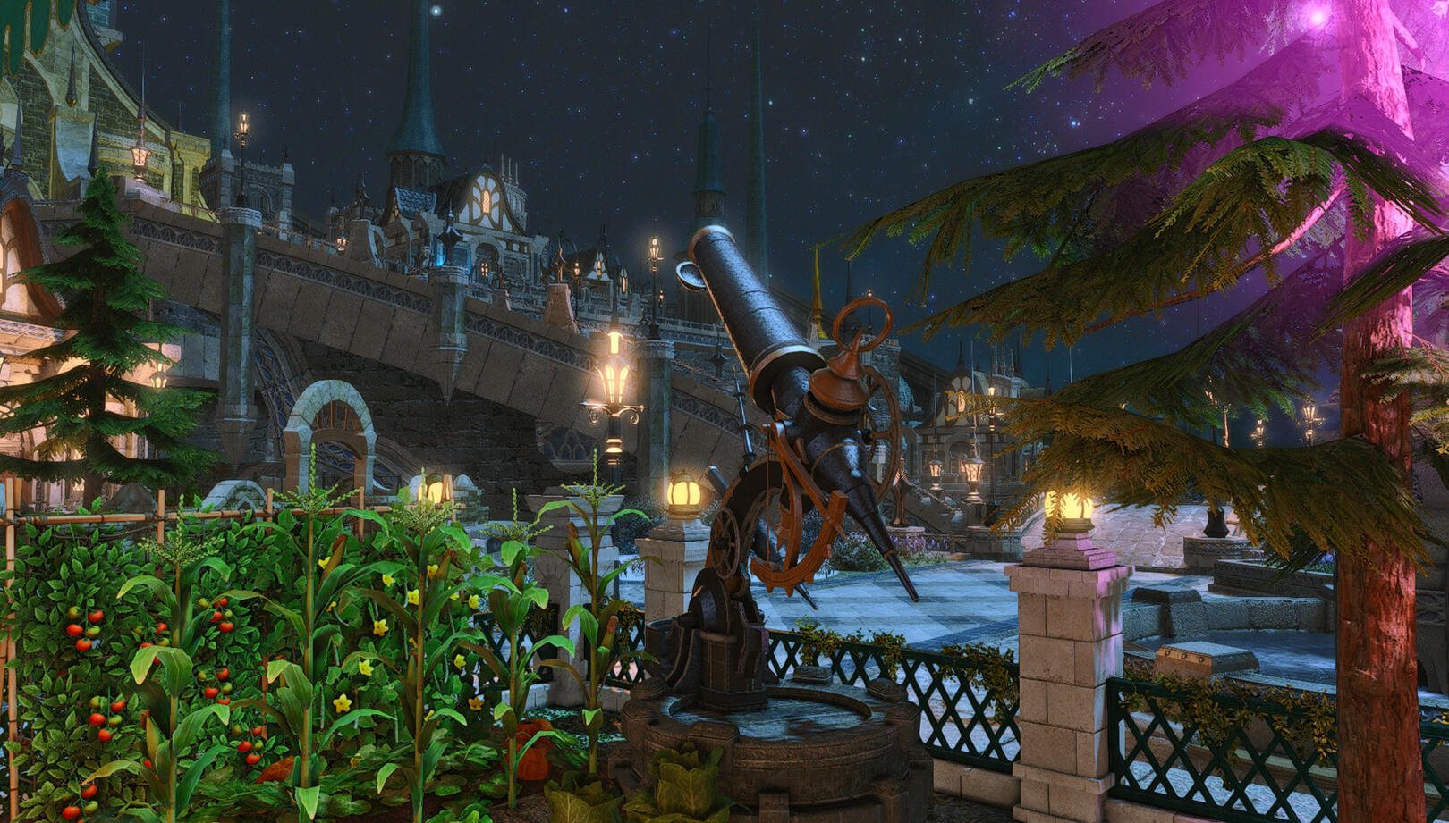 Taken by @SelachiiXIV