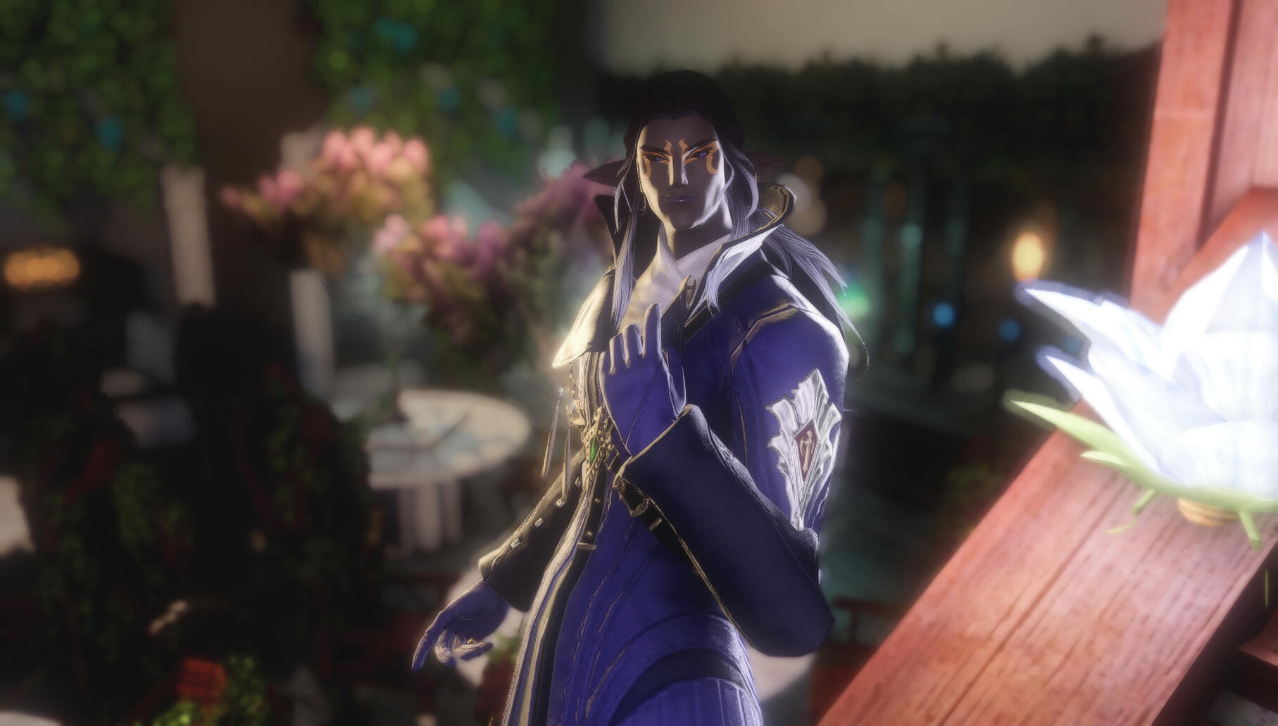 Taken by @SelachiiXIV